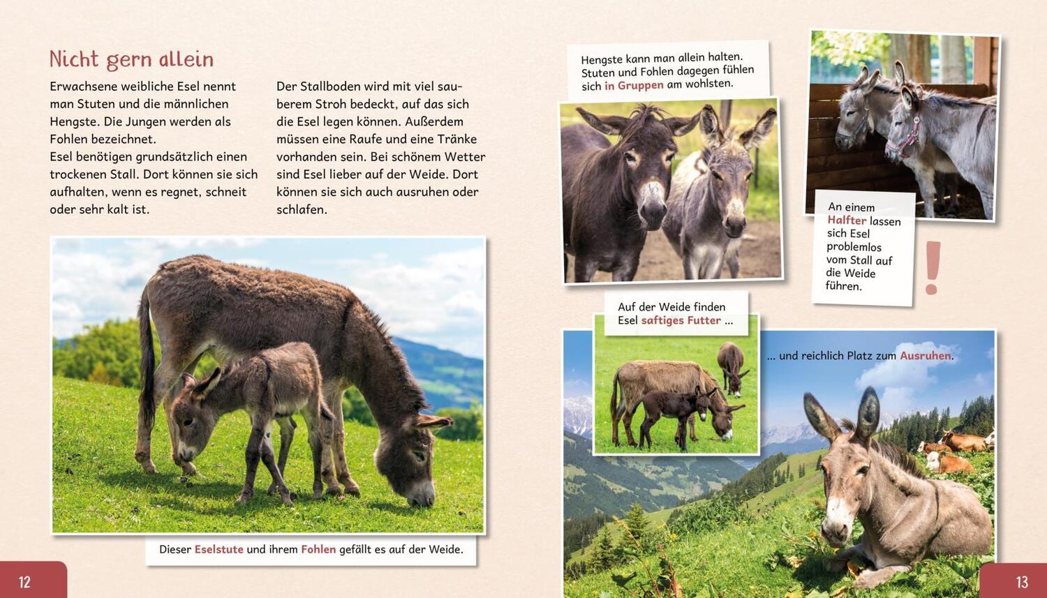 Bild: 9783480236329 | Meine große Tierbibliothek: Der Esel | Axel Gutjahr | Buch | 32 S.