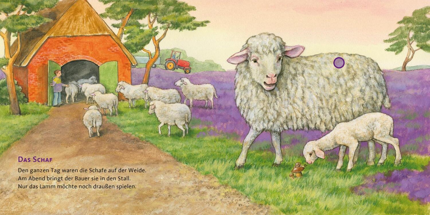 Bild: 9783551253965 | Hör mal (Soundbuch): Der Bauernhof | Anne Möller | Buch | 14 S. | 2023