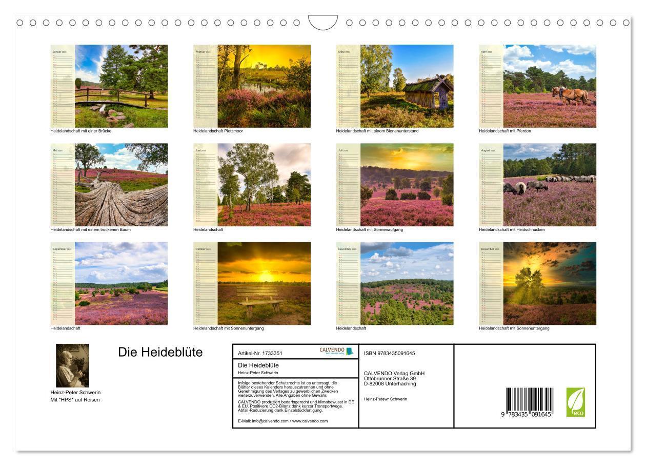 Bild: 9783435091645 | Die Heideblüte (Wandkalender 2025 DIN A3 quer), CALVENDO...