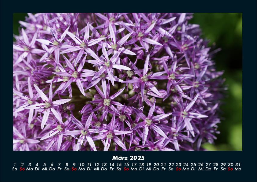 Bild: 9783755989172 | Blumenkalender 2025 Fotokalender DIN A4 | Tobias Becker | Kalender