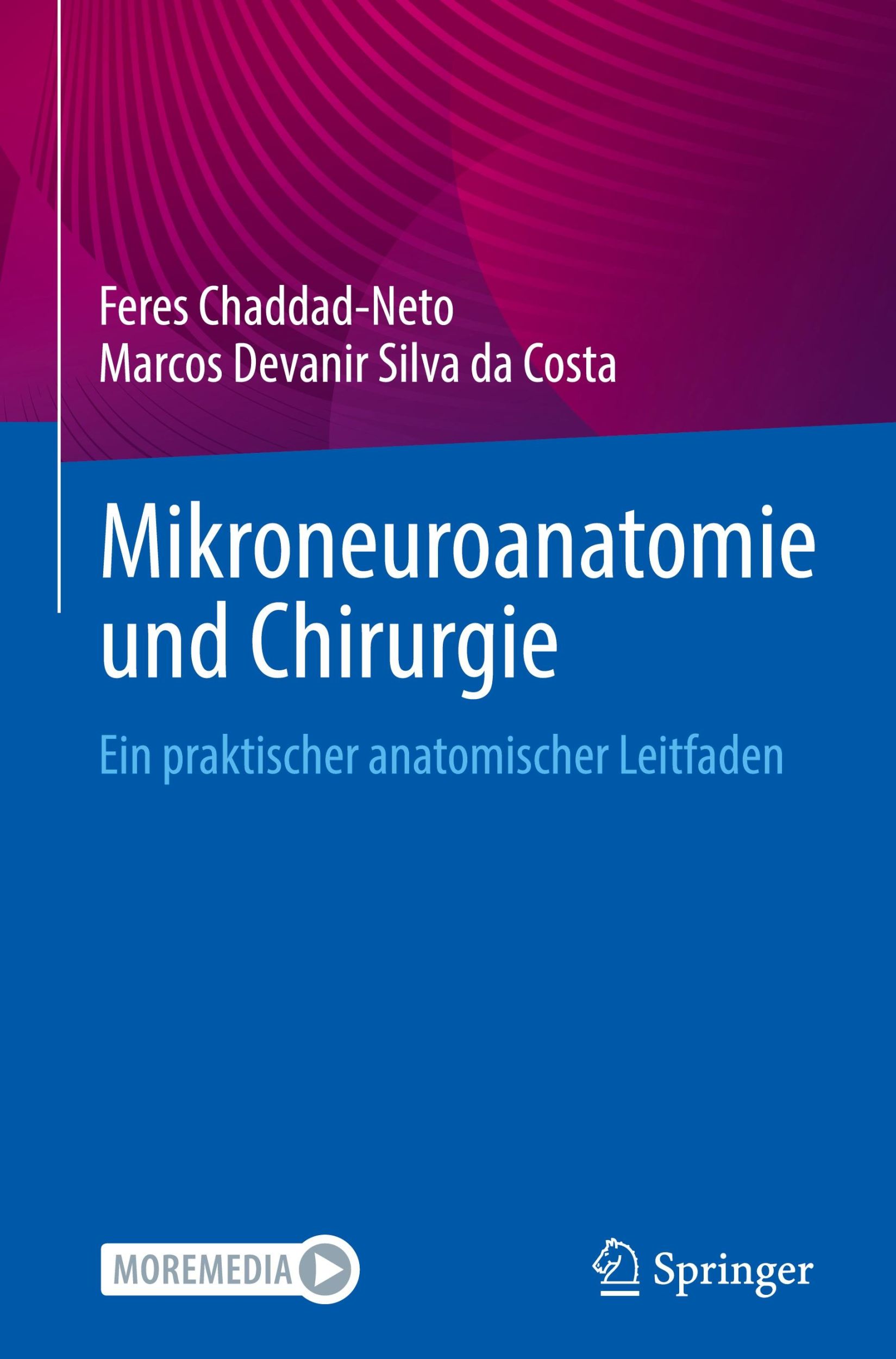 Cover: 9783031520082 | Mikroneuroanatomie und Chirurgie | Costa (u. a.) | Buch | xxiv | 2024