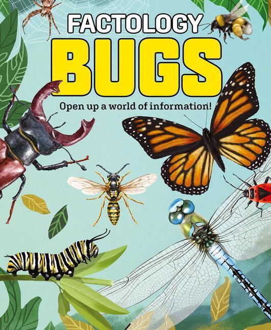 Cover: 9781787081321 | Factology: Bugs | Open Up a World of Information! | Buch | Gebunden