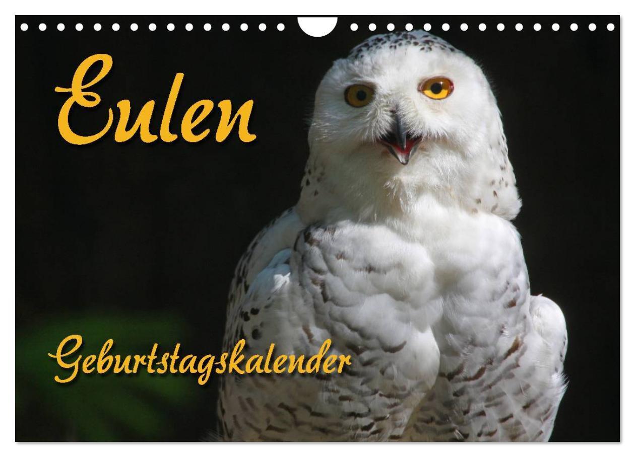 Cover: 9783383548628 | Eulen (Wandkalender 2024 DIN A4 quer), CALVENDO Monatskalender | Berg