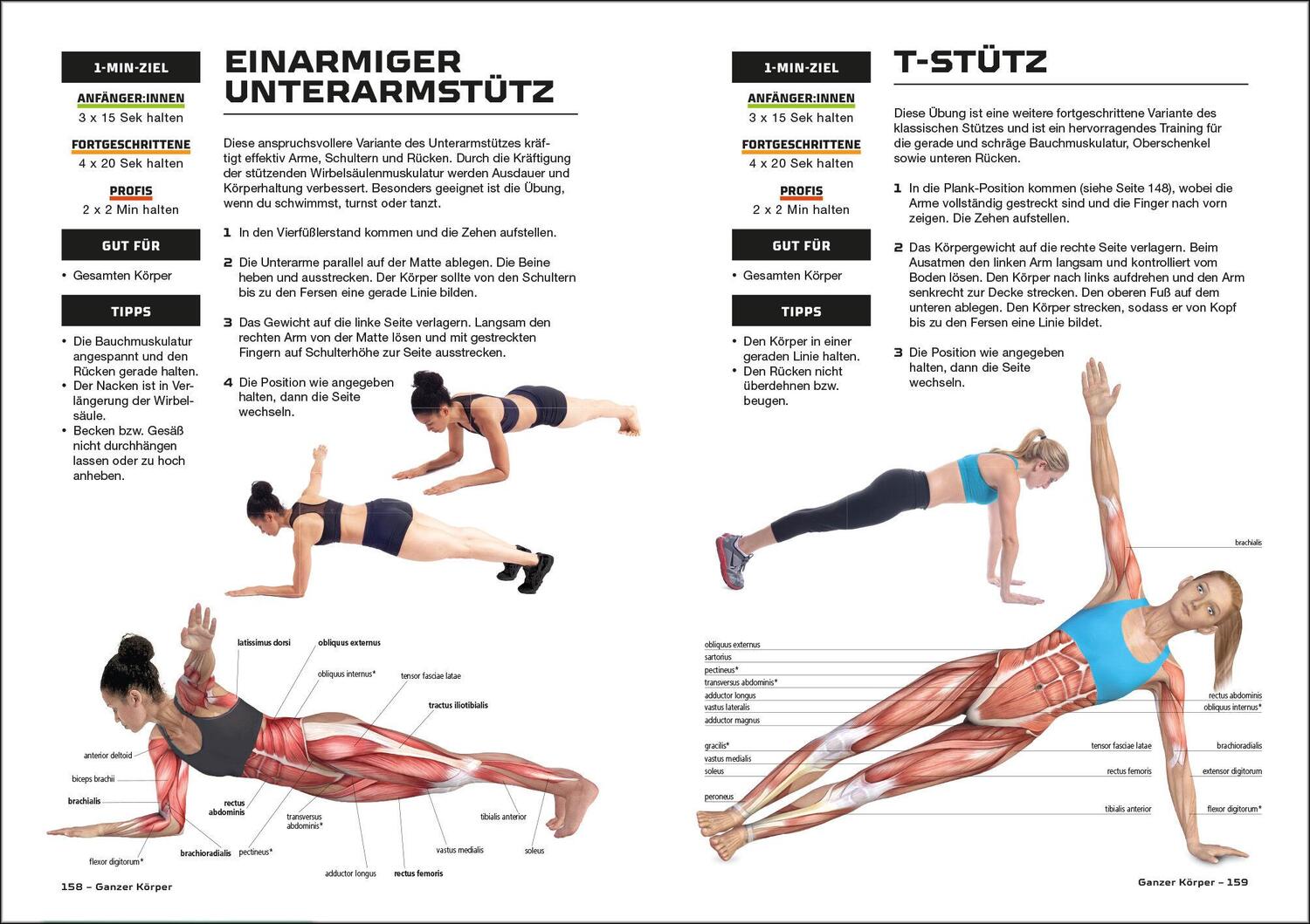 Bild: 9783517102917 | Fit und stark in 10 Minuten | Sean Adams | Taschenbuch | 192 S. | 2023