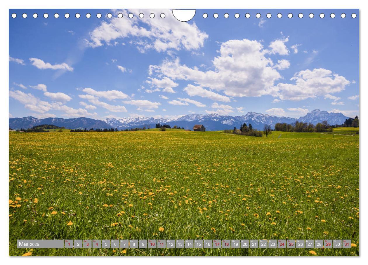 Bild: 9783435399765 | Allgäu-Idylle (Wandkalender 2025 DIN A4 quer), CALVENDO Monatskalender