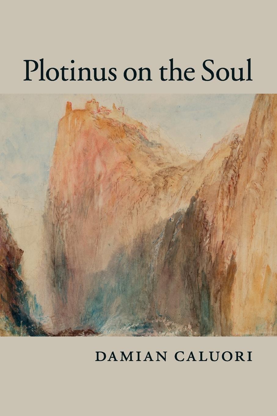 Cover: 9781107513839 | Plotinus on the Soul | Damian Caluori | Taschenbuch | Paperback | 2018