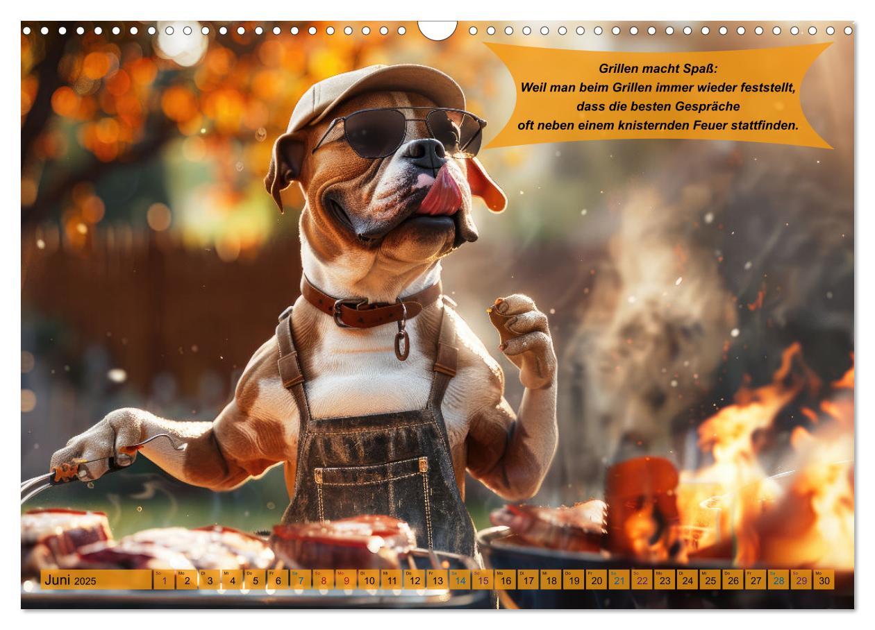 Bild: 9783457168288 | Tierisch lustige Grillmeister (Wandkalender 2025 DIN A3 quer),...