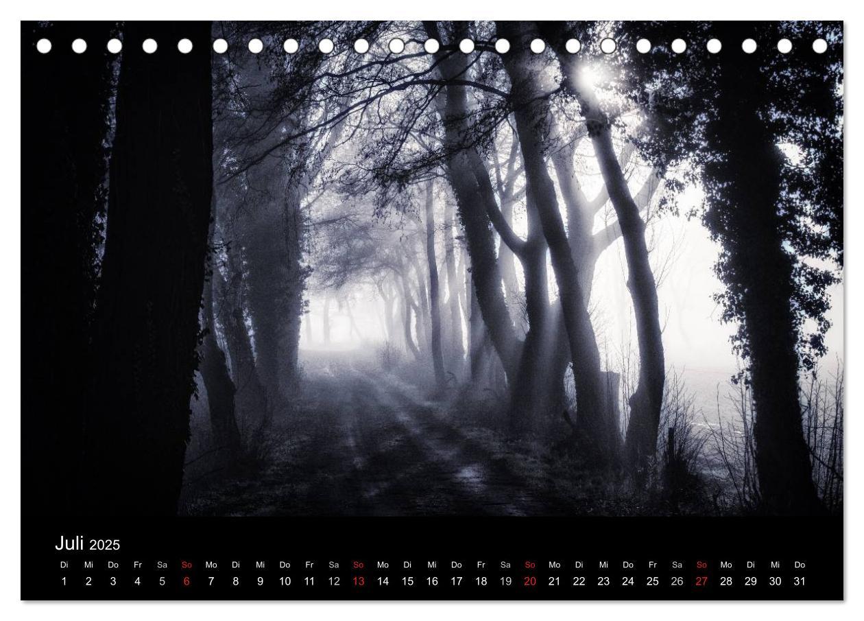 Bild: 9783435500307 | Mystische Wälder (Tischkalender 2025 DIN A5 quer), CALVENDO...