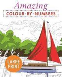 Cover: 9781789500509 | Arcturus Publishing: Amazing Colour-by-Numbers Large Print | Buch