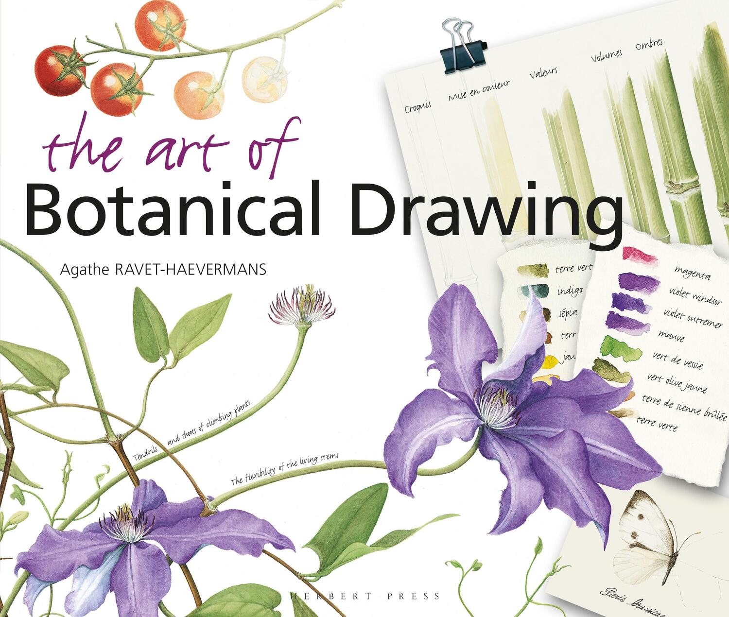Cover: 9781912217861 | The Art of Botanical Drawing | Agathe Ravet-Haevermans | Taschenbuch