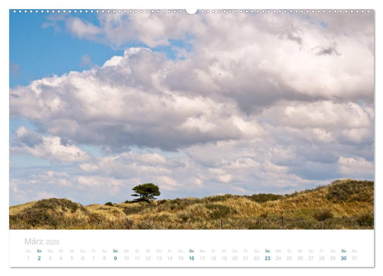 Bild: 9783435816286 | Ameland (Wandkalender 2025 DIN A2 quer), CALVENDO Monatskalender