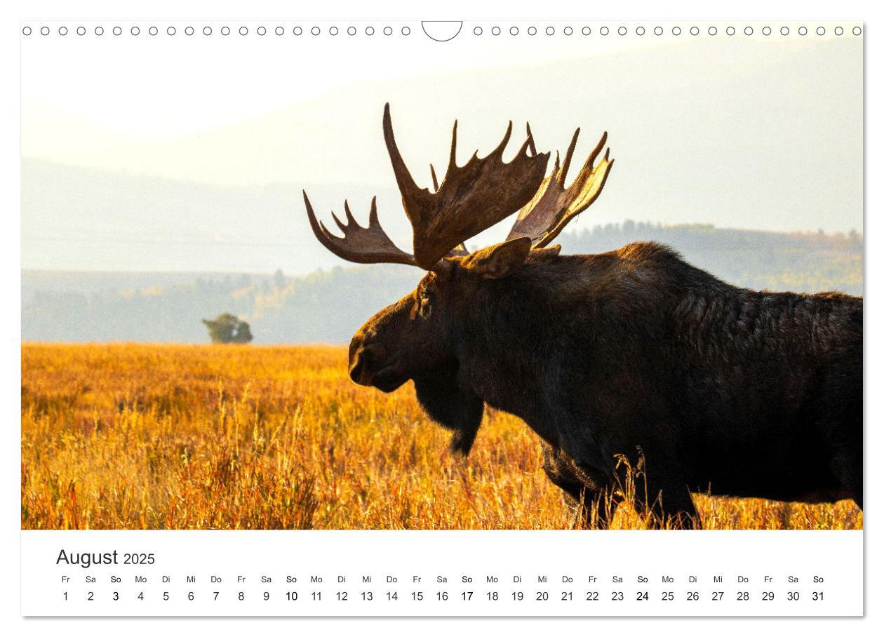 Bild: 9783383960710 | Wyoming - Der Bundesstaat der großen Ebenen. (Wandkalender 2025 DIN...