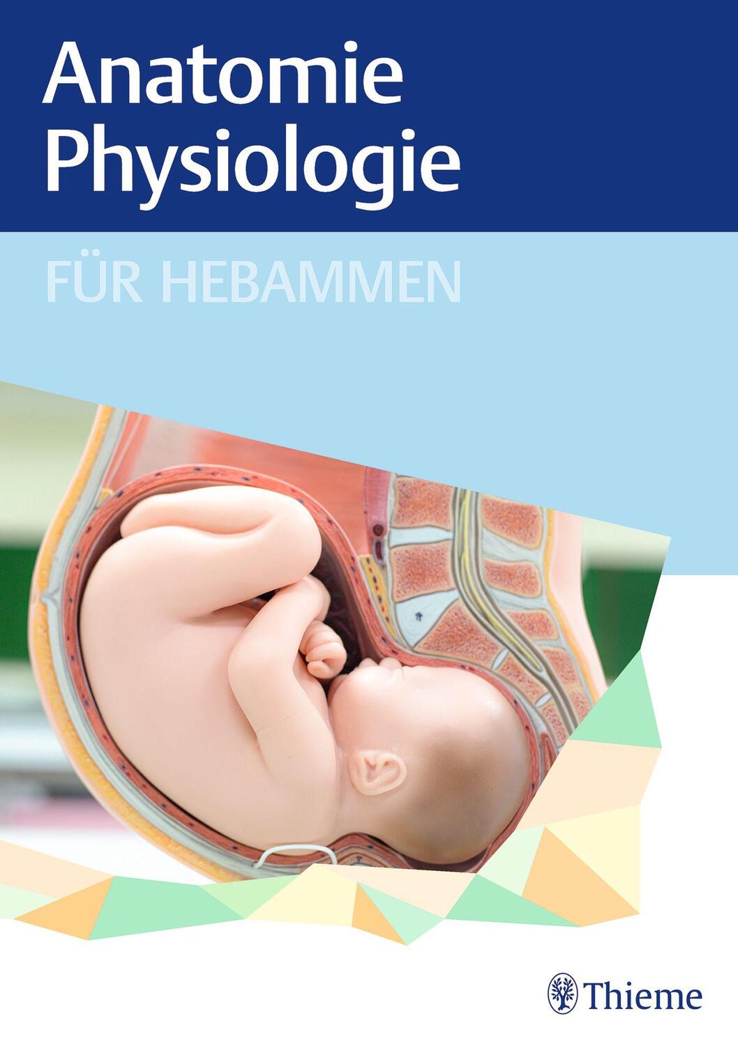 Cover: 9783132442627 | Anatomie und Physiologie für Hebammen | Buch | Deutsch | 2023