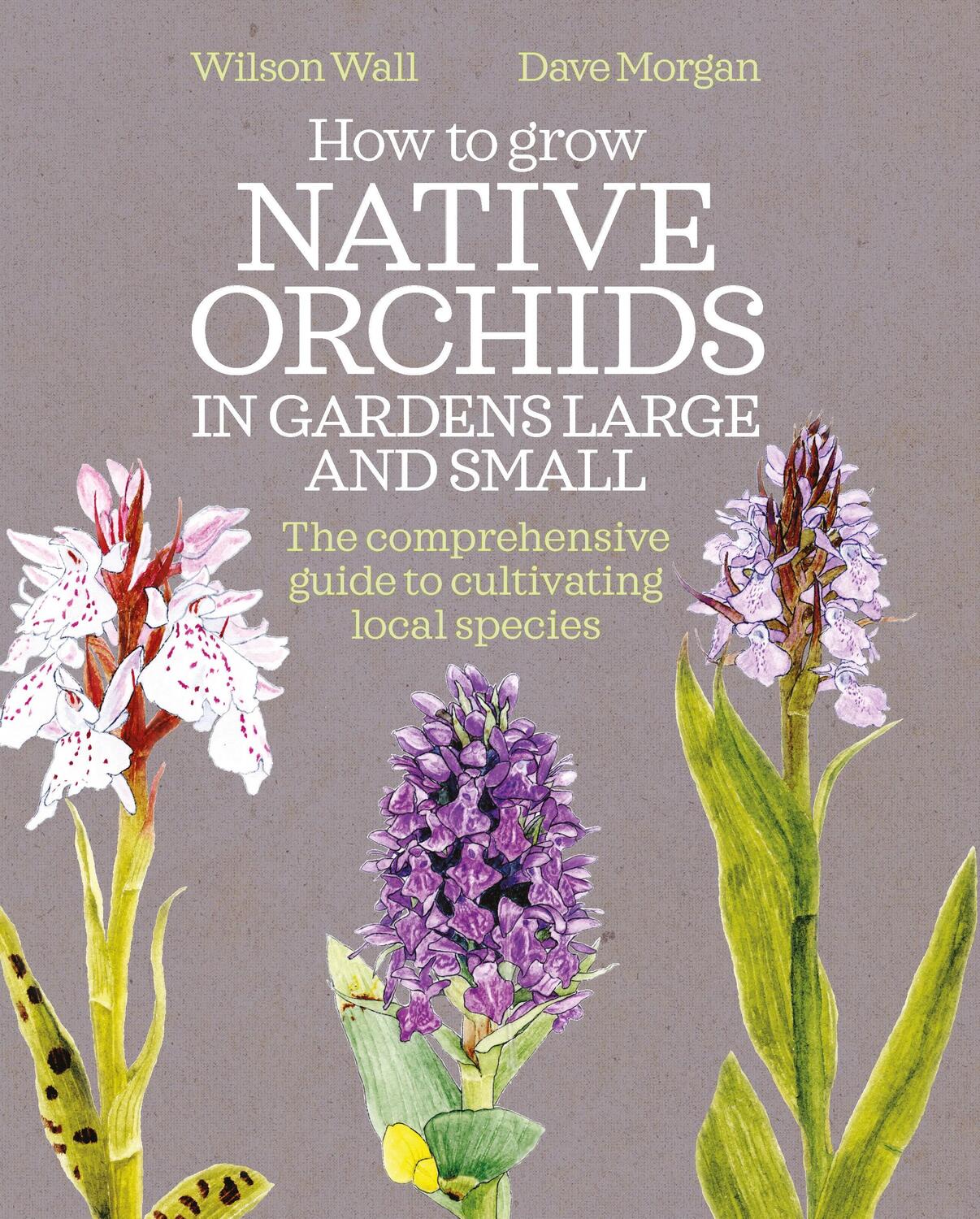 Cover: 9780857844606 | How to Grow Native Orchids in Gardens Large and Small | Wall (u. a.)