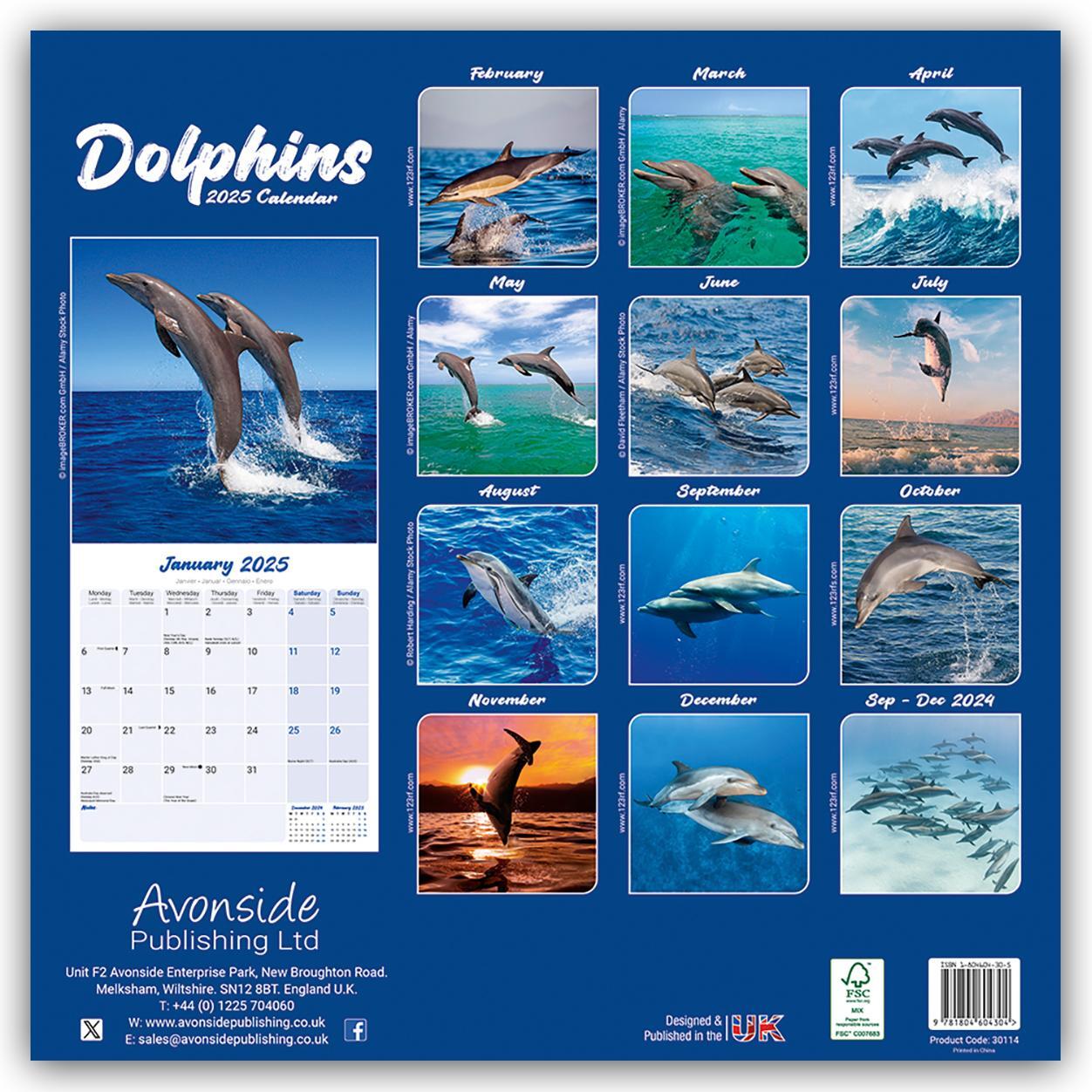 Rückseite: 9781804604304 | Dolphins - Delfine - Delphine 2025 - 16-Monatskalender | Ltd | 13 S.