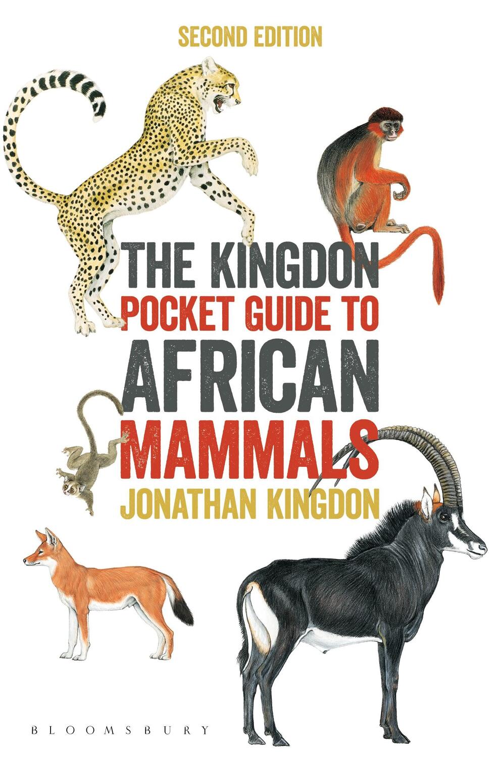 Cover: 9781472978455 | The Kingdon Pocket Guide to African Mammals | Jonathan Kingdon | Buch