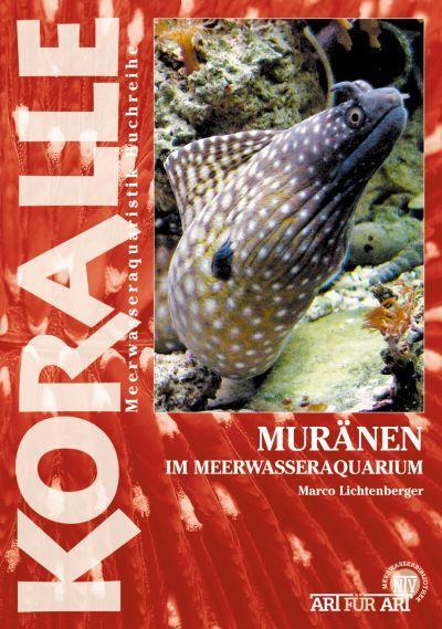 Cover: 9783866590816 | Muränen im Meerwasseraquarium | Marco Lichtenberger | Taschenbuch