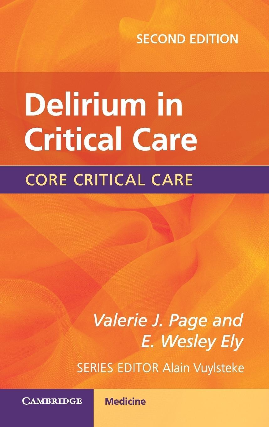 Cover: 9781107433656 | Delirium in Critical Care | Valerie J. Page (u. a.) | Taschenbuch