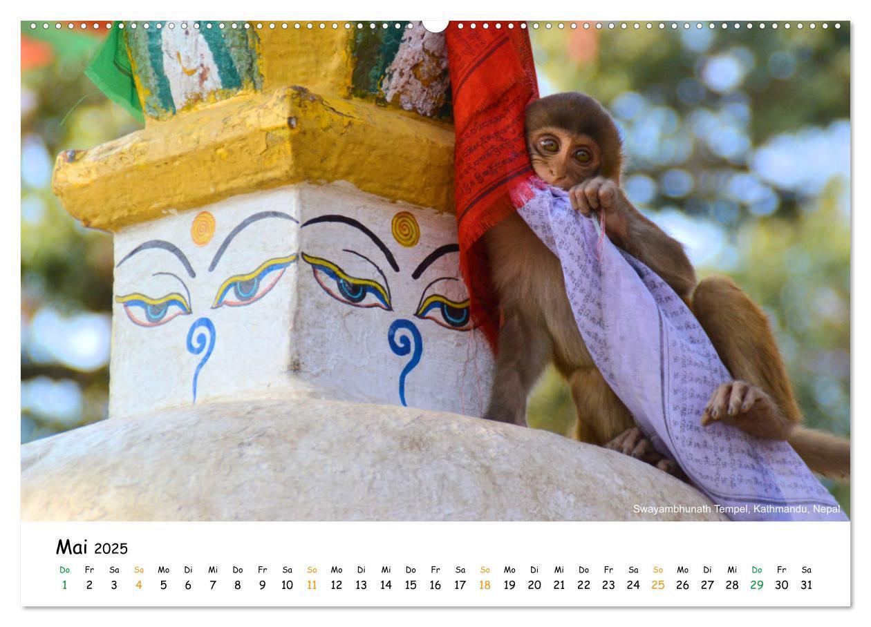 Bild: 9783435174713 | Bezauberndes Asien 2025 (Wandkalender 2025 DIN A2 quer), CALVENDO...