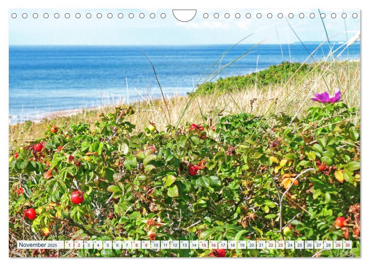 Bild: 9783435209194 | Kurische Nehrung: am längsten Ostsee-Strand (Wandkalender 2025 DIN...