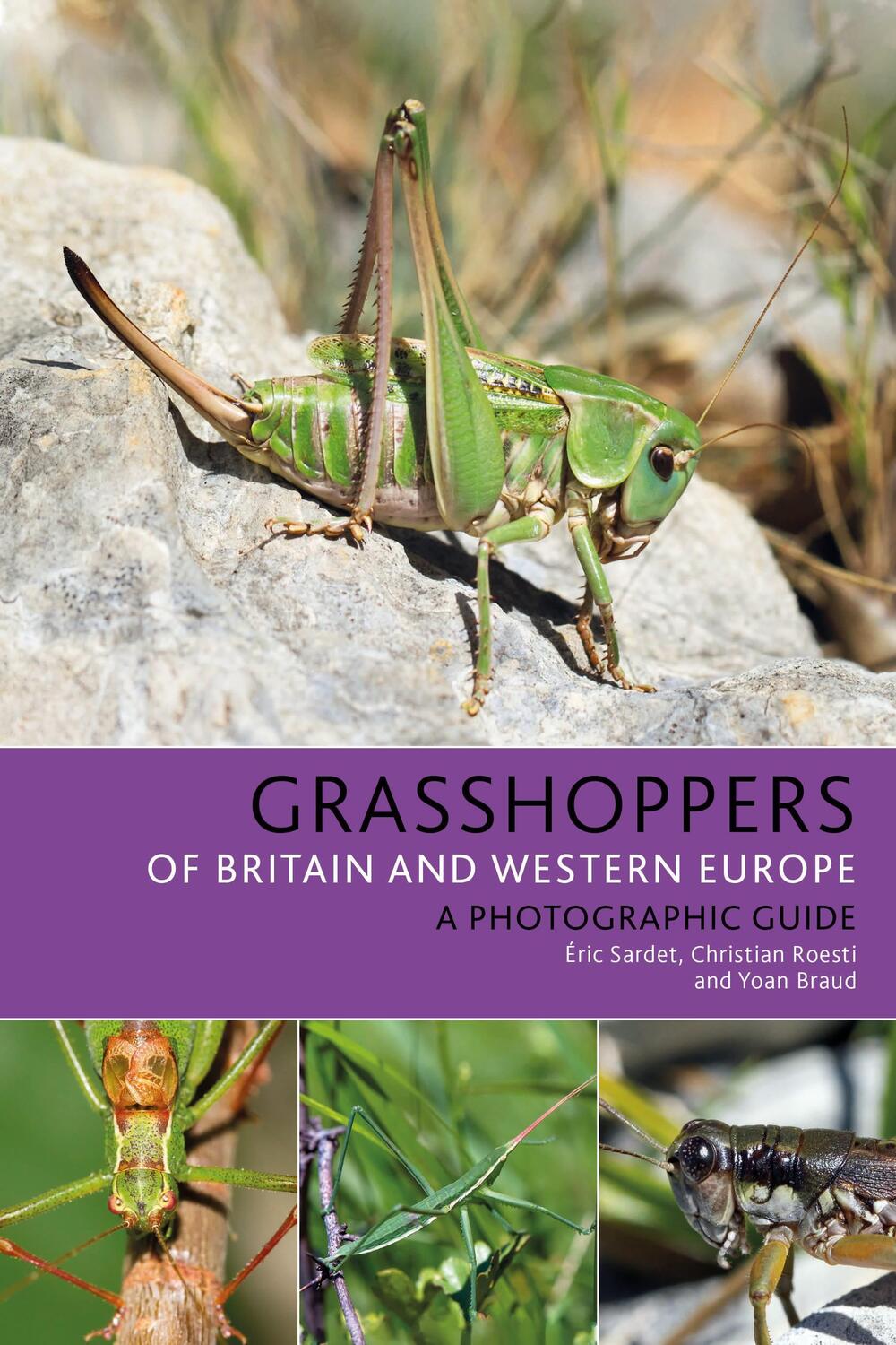 Cover: 9781472954862 | Grasshoppers of Britain and Western Europe | A Photographic Guide