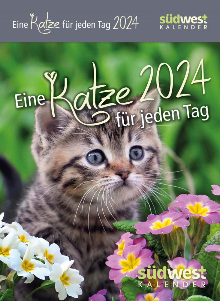 Cover: 9783517102108 | Eine Katze für jeden Tag 2024 - Tagesabreißkalender zum Aufstellen...