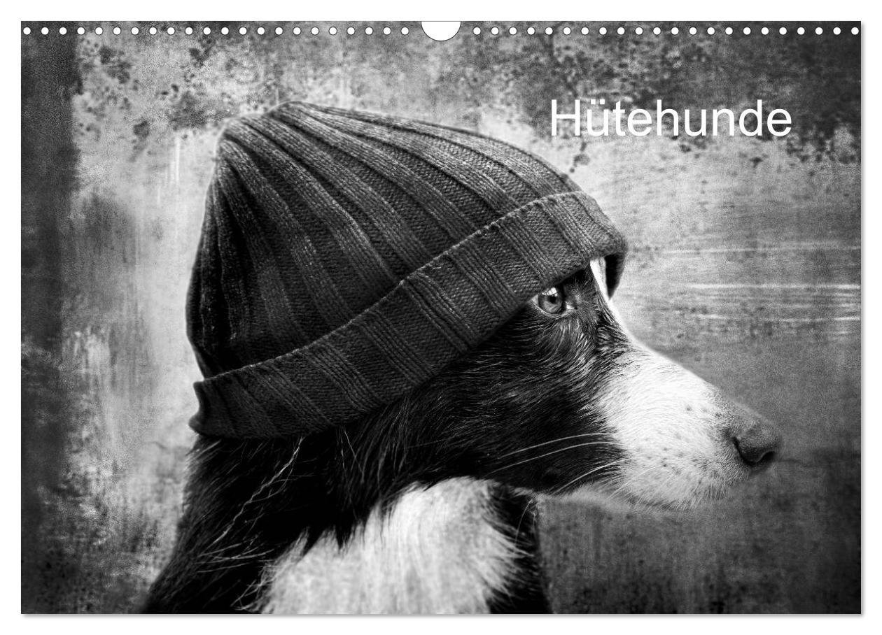 Cover: 9783435781096 | Hütehunde (Wandkalender 2025 DIN A3 quer), CALVENDO Monatskalender