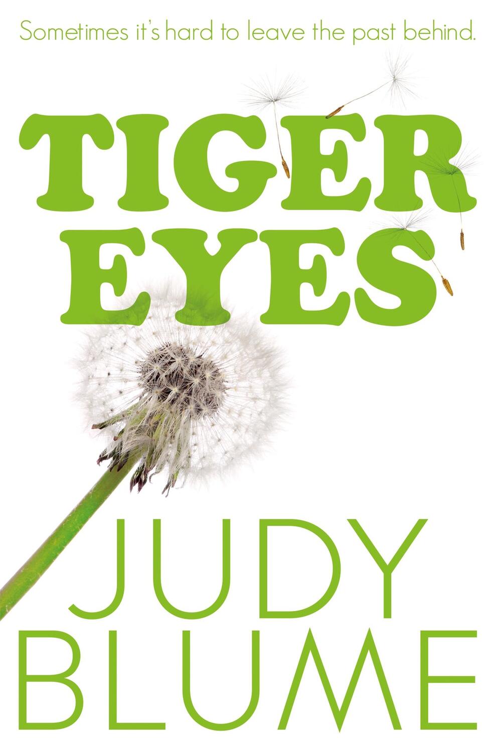Cover: 9781447280439 | Tiger Eyes | Judy Blume | Taschenbuch | Englisch | 2015