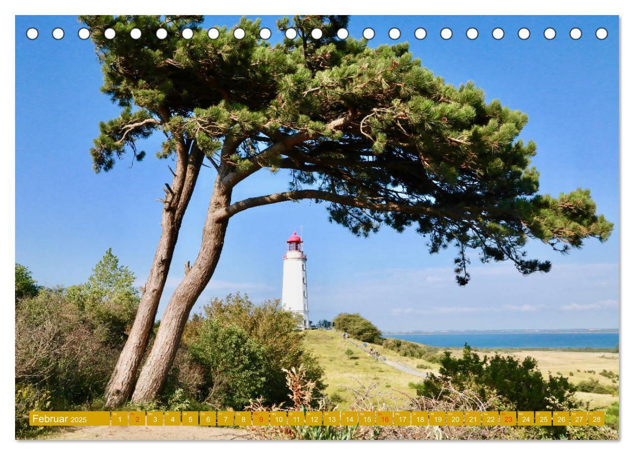 Bild: 9783435264544 | Insel Hiddensee - Stimmungen und Sehnsüchte (Tischkalender 2025 DIN...