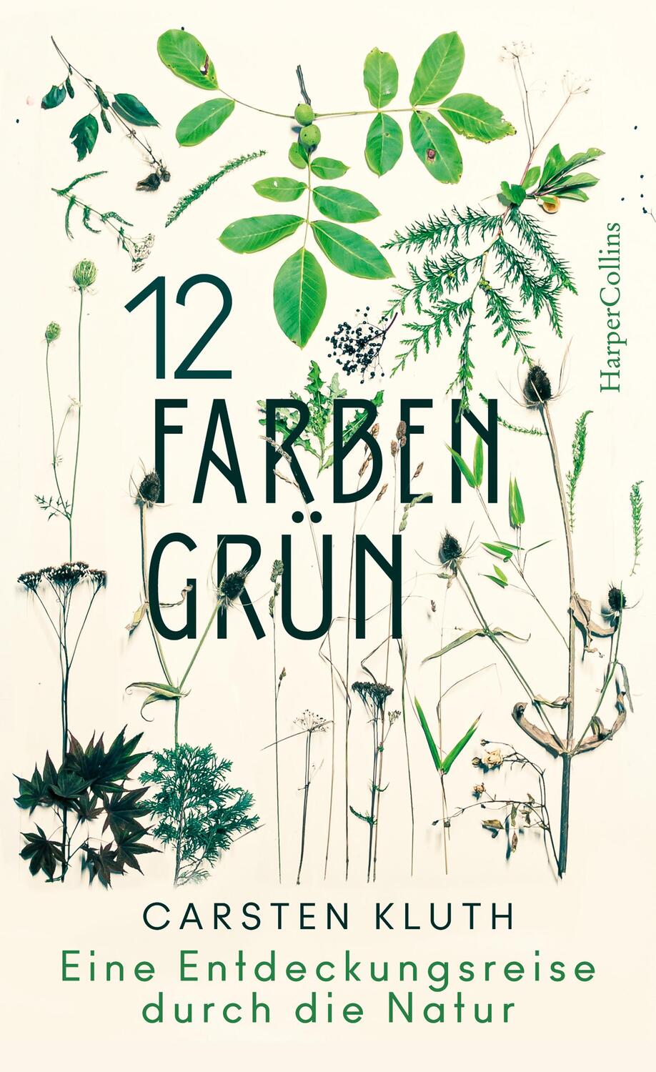 Cover: 9783749900152 | 12 Farben Grün - Eine Entdeckungsreise durch die Natur | Carsten Kluth