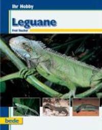 Cover: 9783933646187 | Ihr Hobby Leguane | Fred Taucher | Buch | Deutsch | 2000