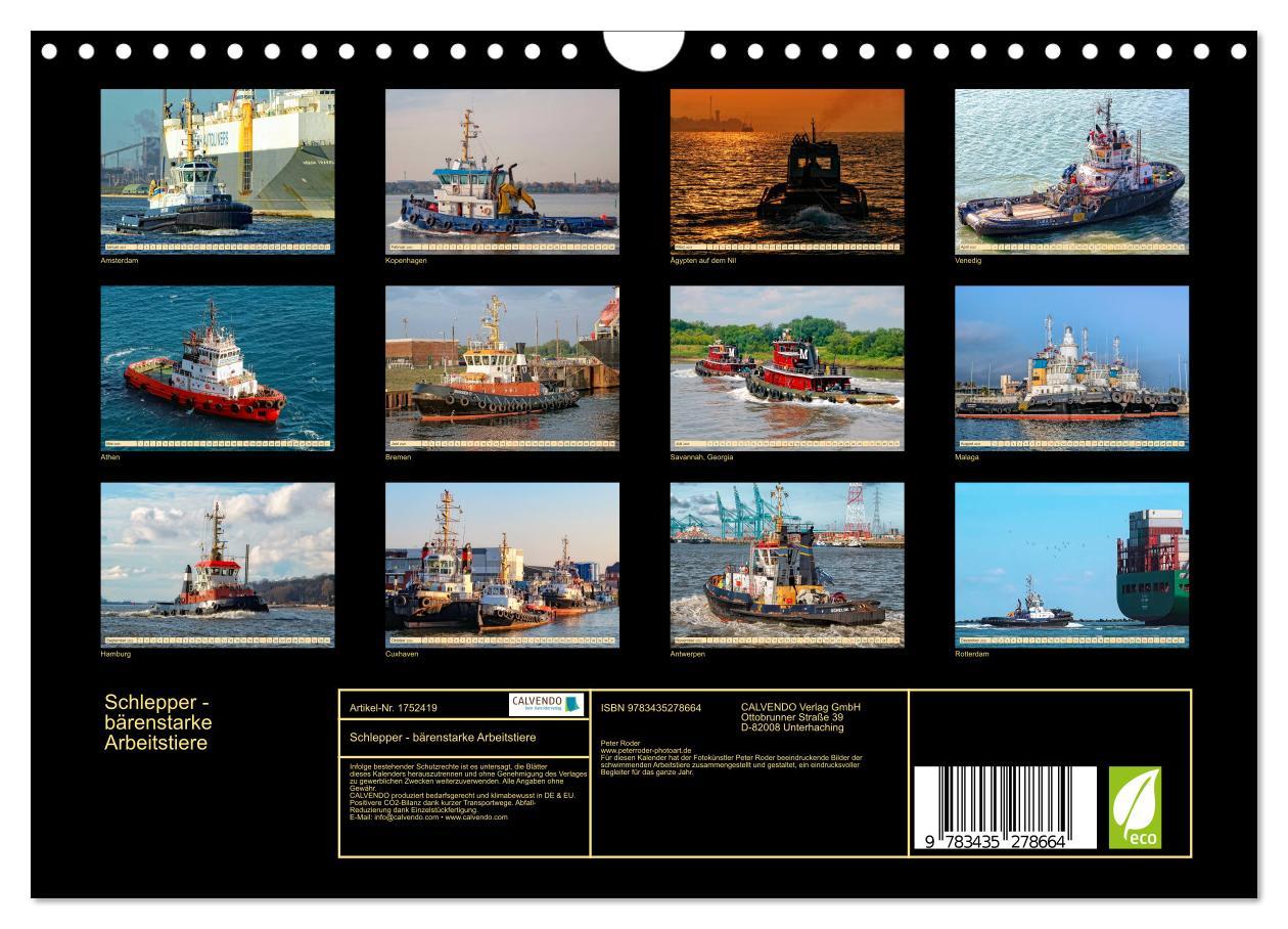 Bild: 9783435278664 | Schlepper - bärenstarke Arbeitstiere (Wandkalender 2025 DIN A4...