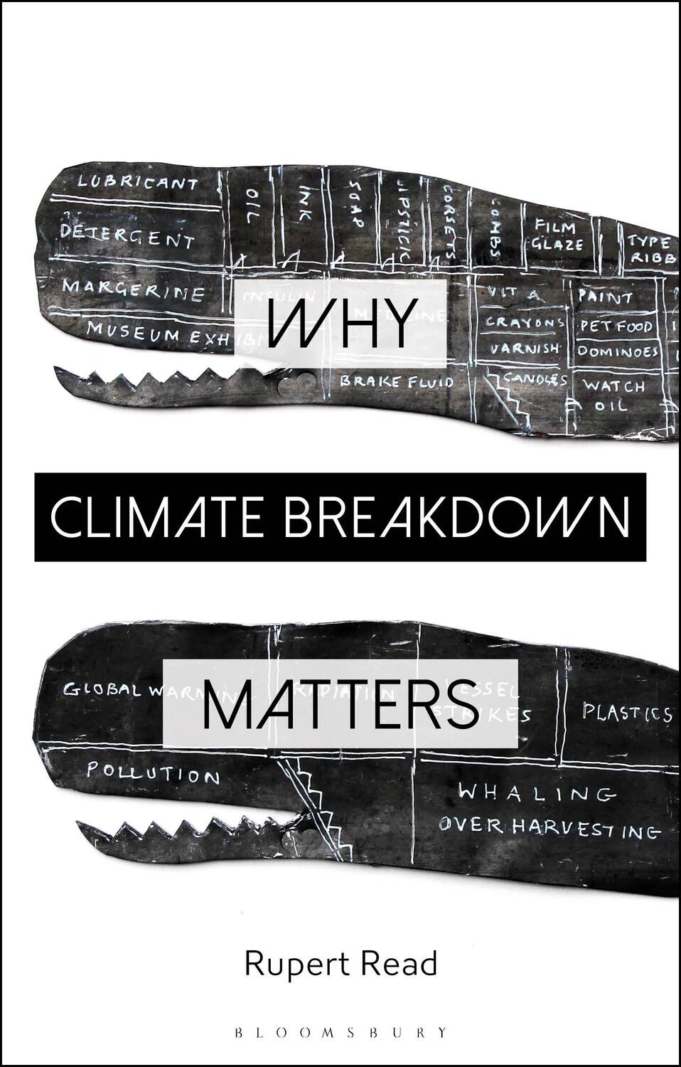 Cover: 9781350212015 | Why Climate Breakdown Matters | Rupert Read | Taschenbuch | Paperback