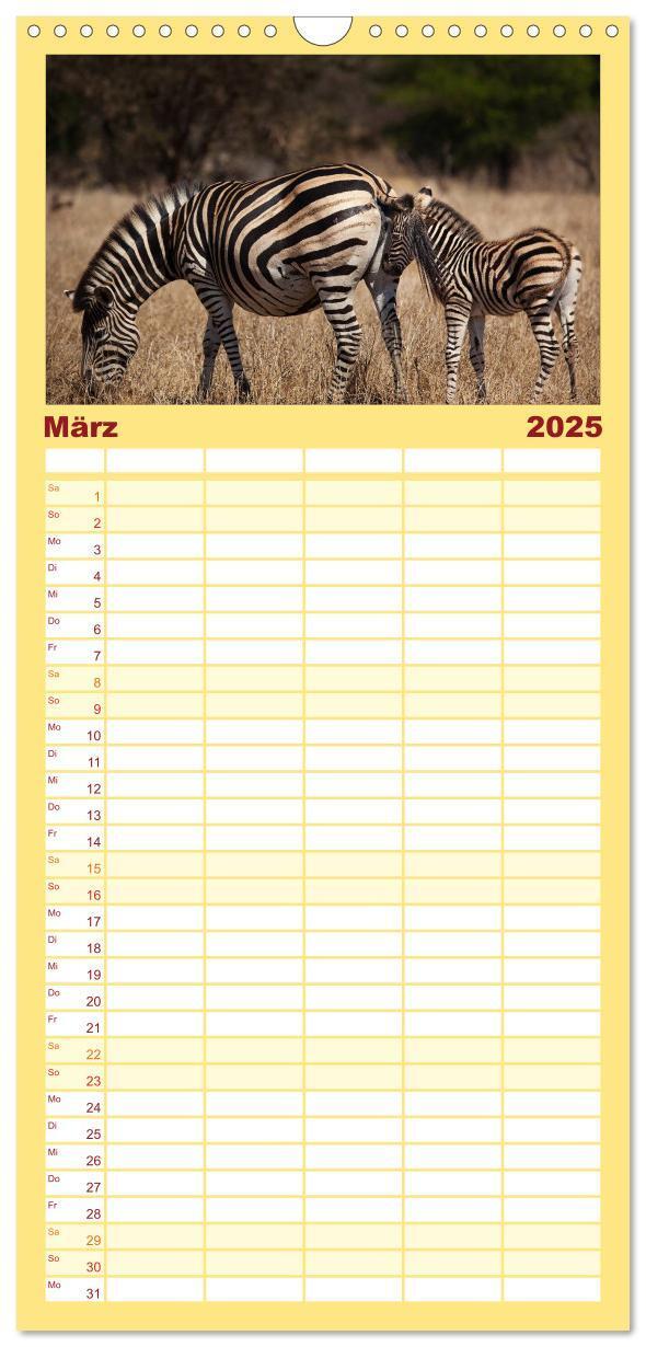 Bild: 9783457115589 | Familienplaner 2025 - Tierbabys 2025 mit 5 Spalten (Wandkalender,...