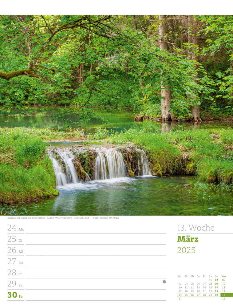 Bild: 9783838425979 | Unser Wald - Wochenplaner Kalender 2025 | Ackermann Kunstverlag | 2025