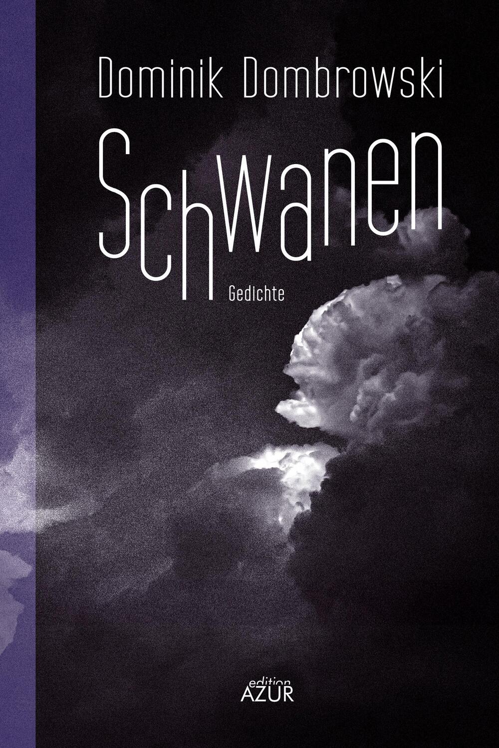 Cover: 9783942375573 | Schwanen. Gedichte | Dominik Dombrowski | Taschenbuch | Deutsch | 2022