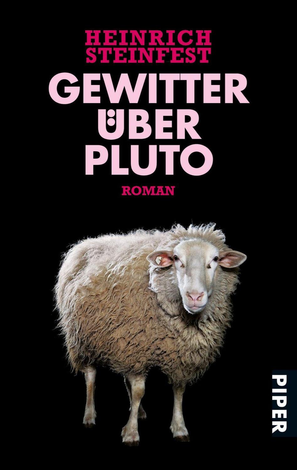Cover: 9783492263665 | Gewitter über Pluto | Roman | Heinrich Steinfest | Taschenbuch | 2010