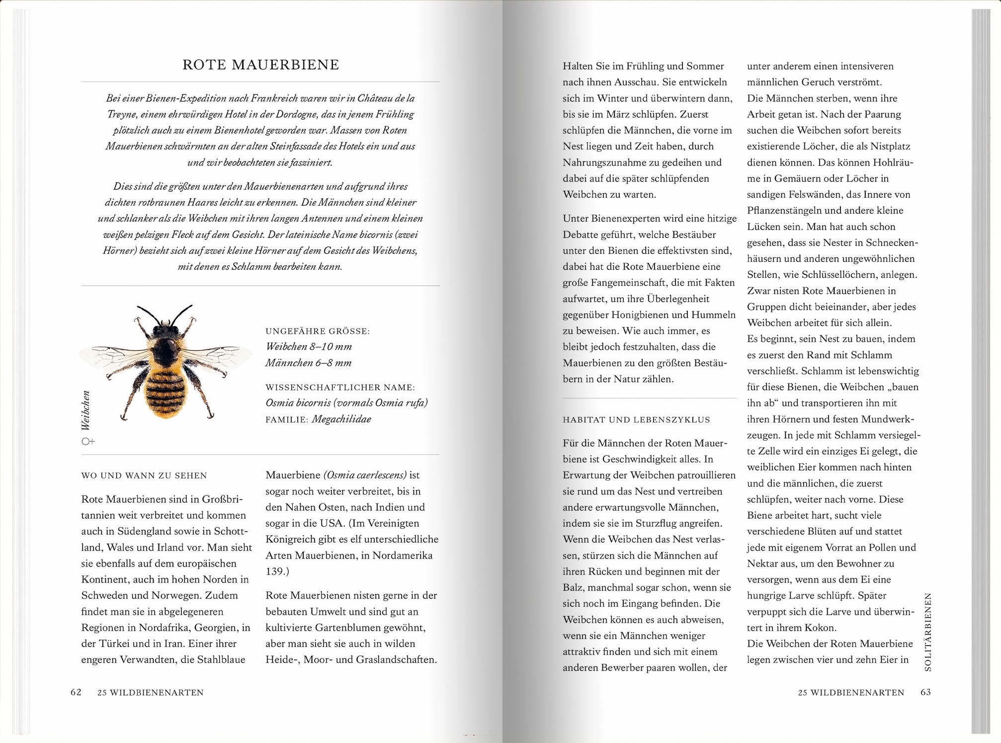 Bild: 9783784357935 | Unsere Wildbienen | Sara Wyndham Lewis | Buch | 208 S. | Deutsch