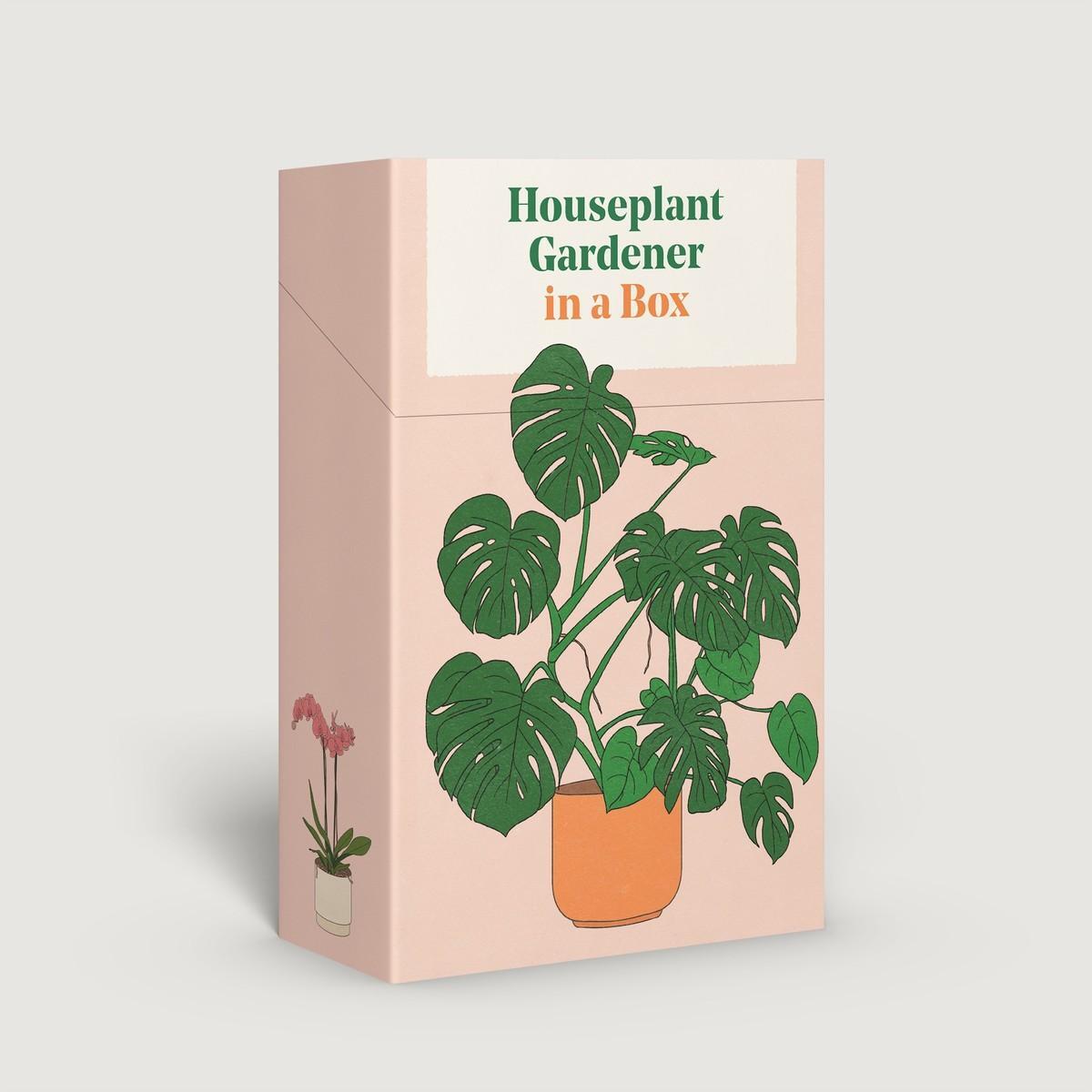 Cover: 9781837760169 | Houseplant Gardener in a Box | Jane Perrone | Box | Englisch | 2023