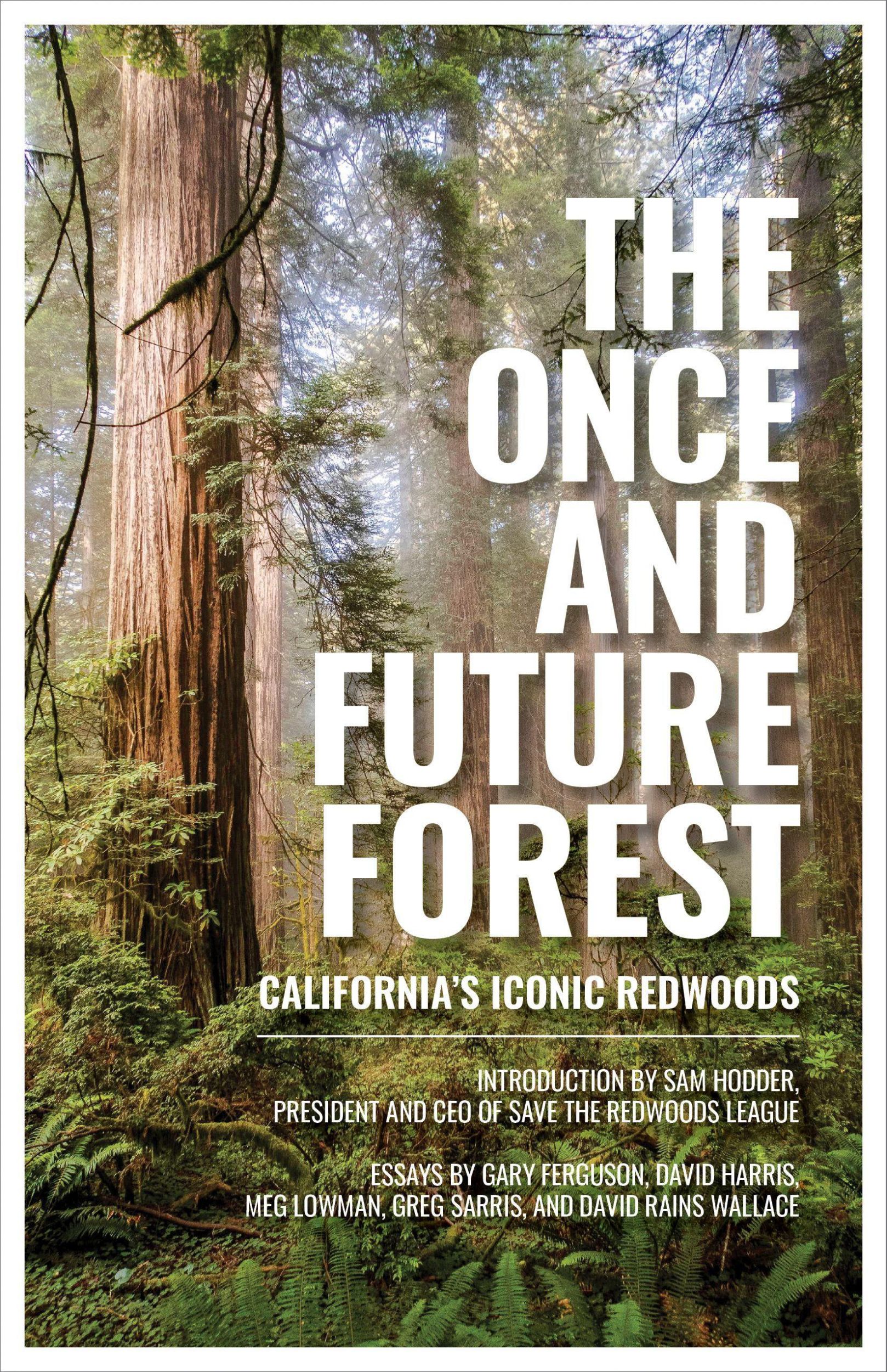 Cover: 9781597145565 | The Once and Future Forest | California's Iconic Redwoods | League