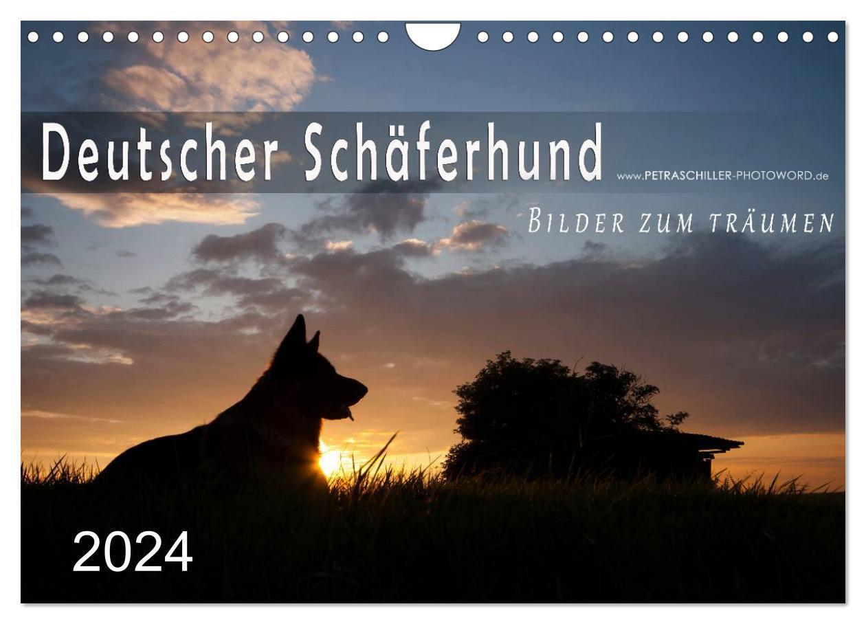 Cover: 9783383529214 | Deutscher Schäferhund / CH-Version (Wandkalender 2024 DIN A4 quer),...