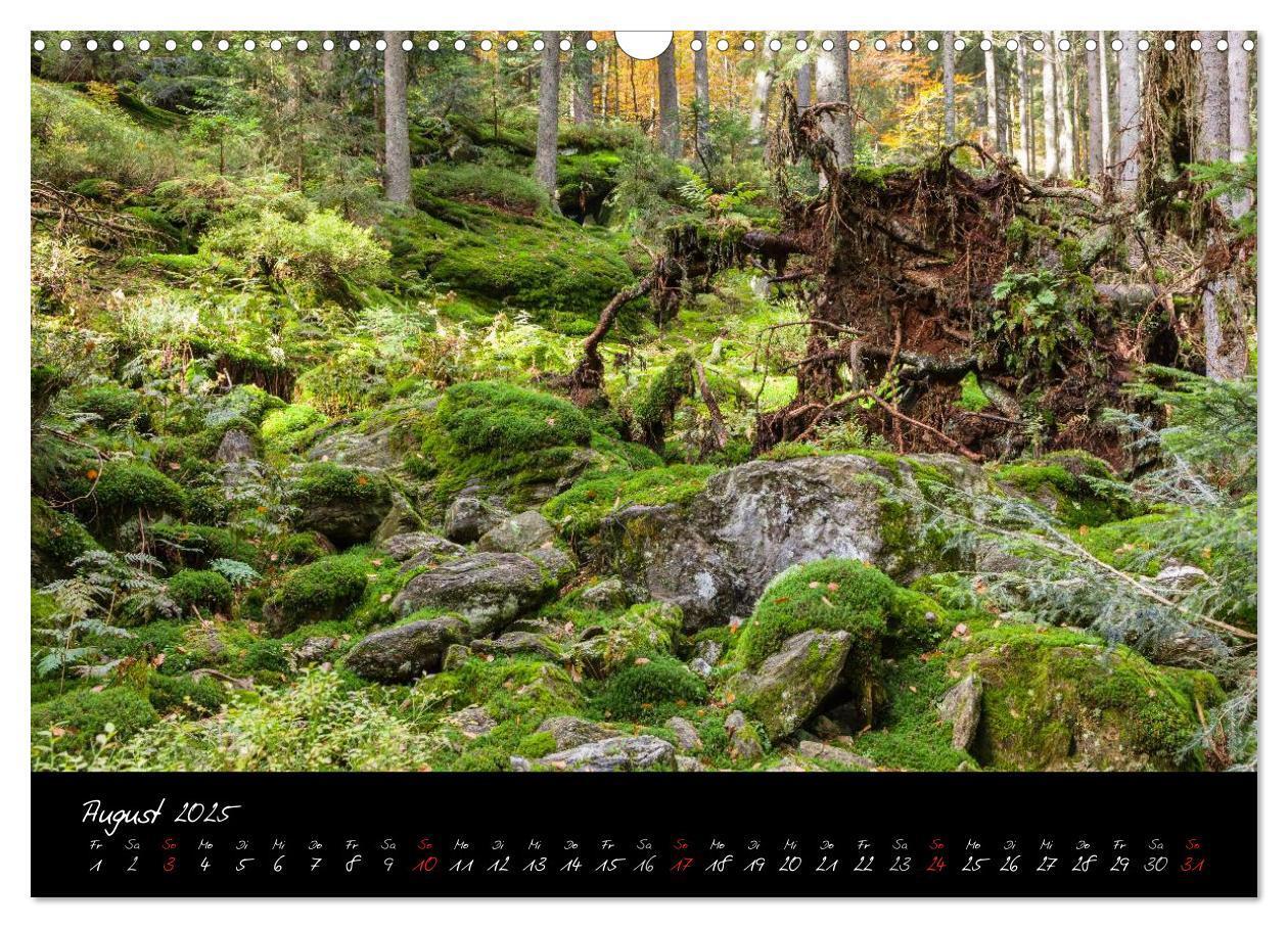 Bild: 9783435810550 | Bayerischer Wald (Wandkalender 2025 DIN A3 quer), CALVENDO...