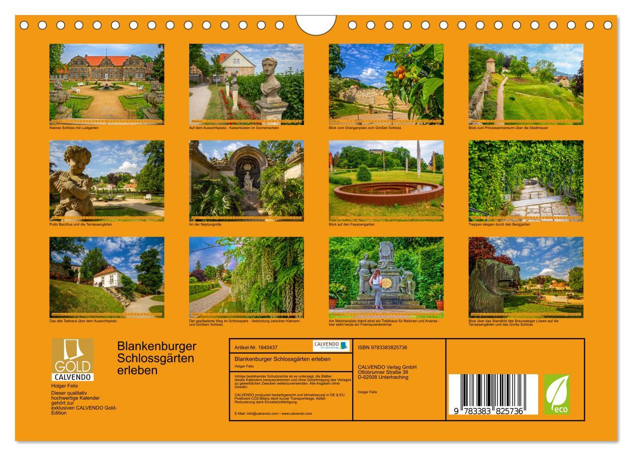 Bild: 9783383825736 | Blankenburger Schlossgärten erleben (Wandkalender 2025 DIN A4...