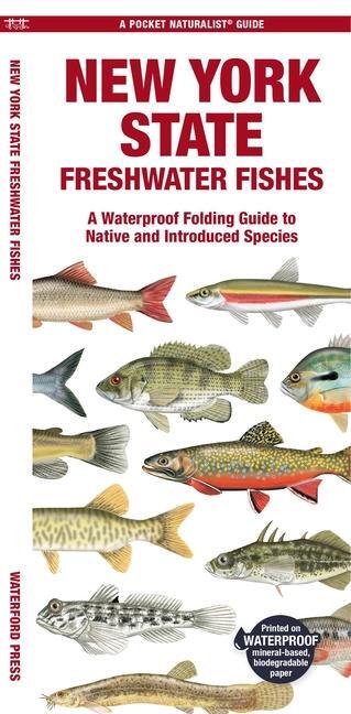 Cover: 9781620056660 | New York State Freshwater Fishes | Waterford Press | Taschenbuch
