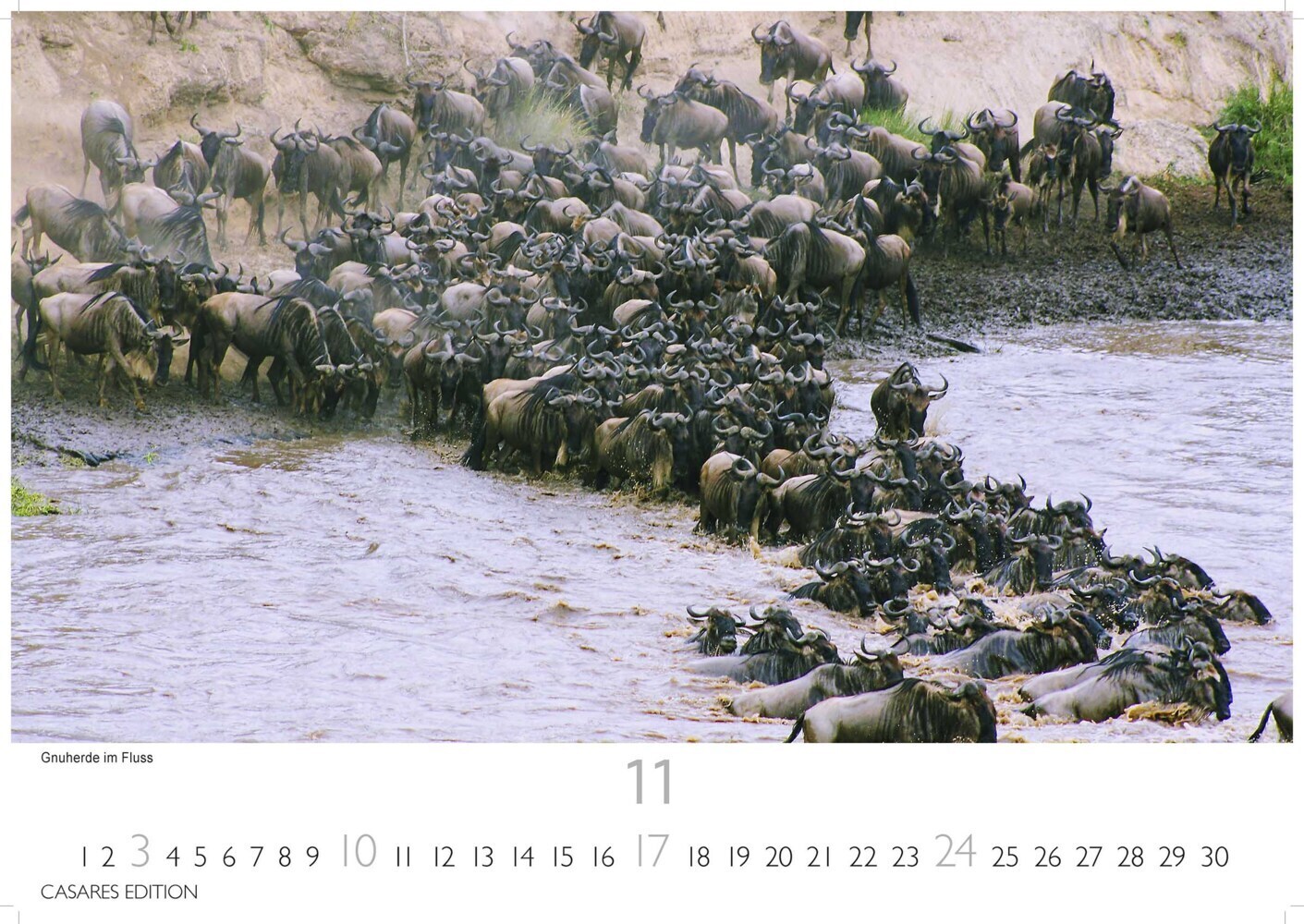 Bild: 9789918618163 | Kenia/Serengeti 2024 S 24x35cm | Stück | 14 S. | Deutsch | 2023