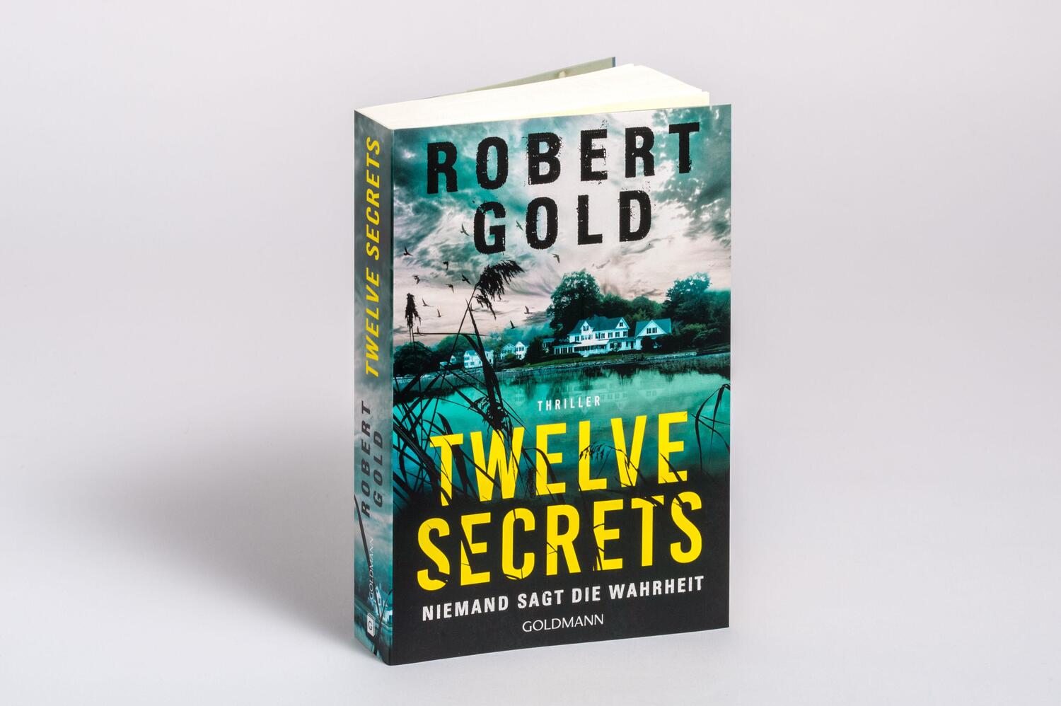 Bild: 9783442494385 | Twelve Secrets - | Niemand sagt die Wahrheit - Thriller | Robert Gold
