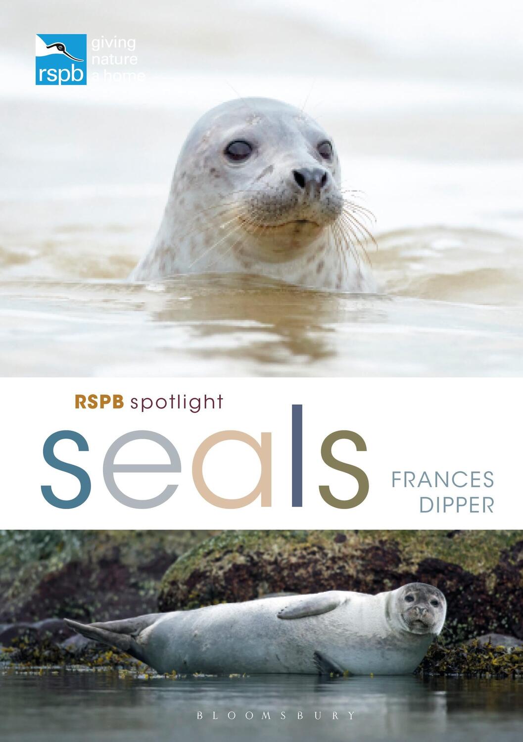Cover: 9781472971623 | RSPB Spotlight Seals | Dr Frances Dipper | Taschenbuch | RSPB | 2021