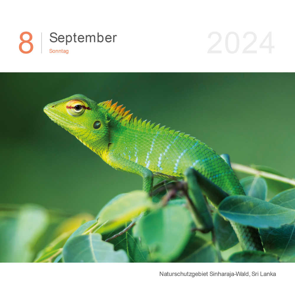 Bild: 9783965912946 | Farben der Erde - KUNTH 366-Tage-Abreißkalender 2024 | Kalender | 2024
