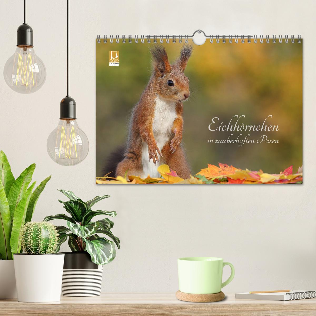 Bild: 9783435280285 | Eichhörnchen in zauberhaften Posen (Wandkalender 2025 DIN A4 quer),...