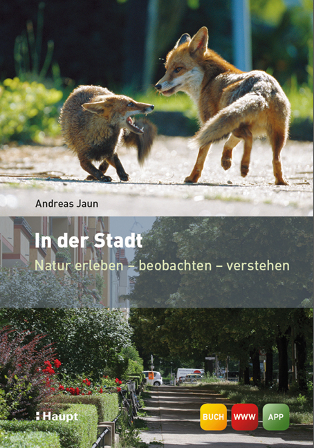 Cover: 9783258077185 | In der Stadt | Natur erleben - beobachten - verstehen | Andreas Jaun